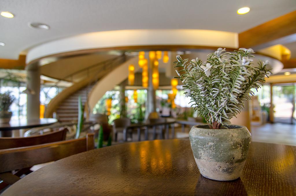 Ramot Resort Hotel Extérieur photo