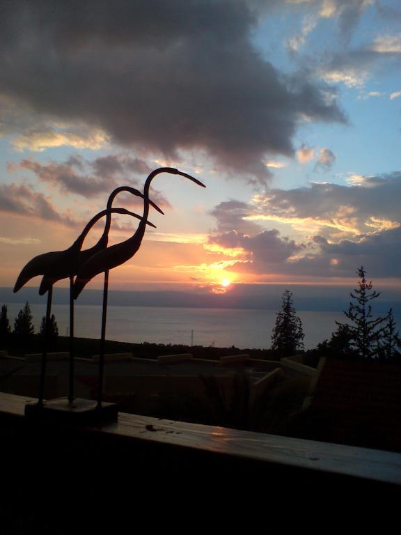 Ramot Resort Hotel Extérieur photo